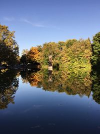 Reflection of trees in calm lake