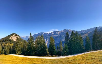 Scenic view of trees against clear blue sky