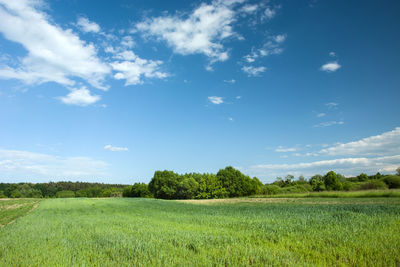 Scenic view of field against sky