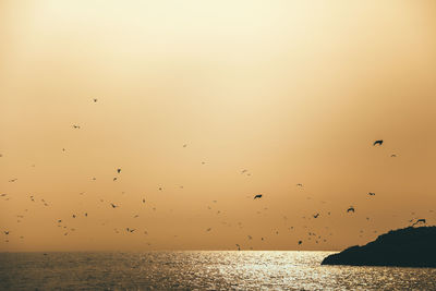 Birds flying over sea against sky during sunset