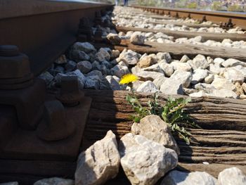 High angle view of stones on railroad track