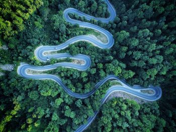 High angle view of road amidst trees in forest