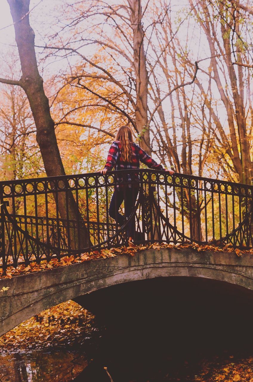 sunset, tree, water, bridge - man made structure, railing, silhouette, bicycle, transportation, river, nature, orange color, branch, sunlight, tranquility, built structure, sky, outdoors, beauty in nature, connection, mode of transport