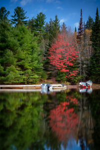 Scenic view of lake by trees during autumn