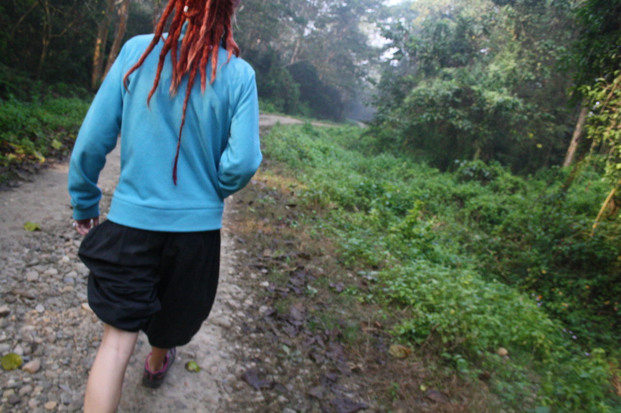 REAR VIEW OF WOMAN WALKING ON FOOTPATH AMIDST PLANTS