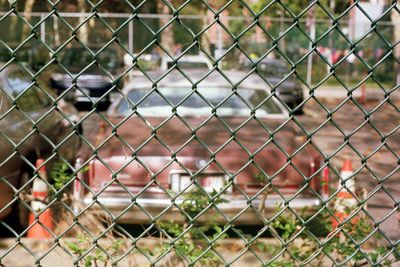 Car seen through chainlink fence