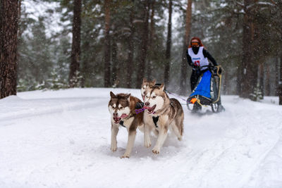 Woman with dog in snow during winter