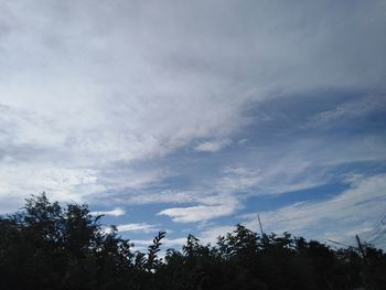 Low angle view of trees against cloudy sky