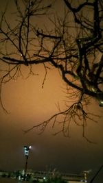 Bare trees against sky