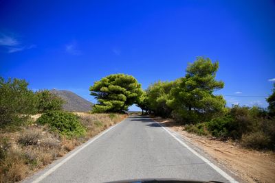 Road by trees against blue sky