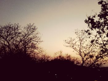 Silhouette trees against sky during sunset