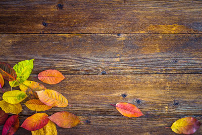 High angle view of leaves on wooden table during autumn