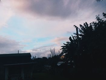 Low angle view of silhouette trees against sky