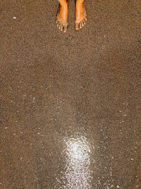 Low section of man standing on sand