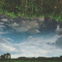 Grassy field against cloudy sky