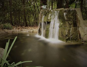 Scenic view of waterfall in forest