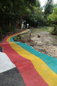 Road with trees in background