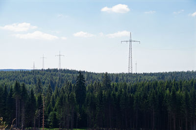 Plants growing on land against sky