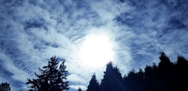 Low angle view of silhouette trees against sky