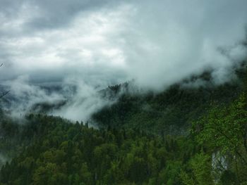 Scenic view of landscape against cloudy sky