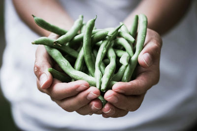 Midsection of person holding green beans