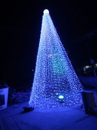 Illuminated christmas tree at night