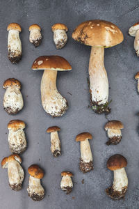 Directly above shot of mushrooms on table