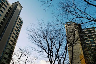 Low angle view of buildings