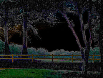 Illuminated trees on landscape against sky at night