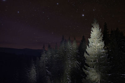 Scenic view of landscape against sky at night