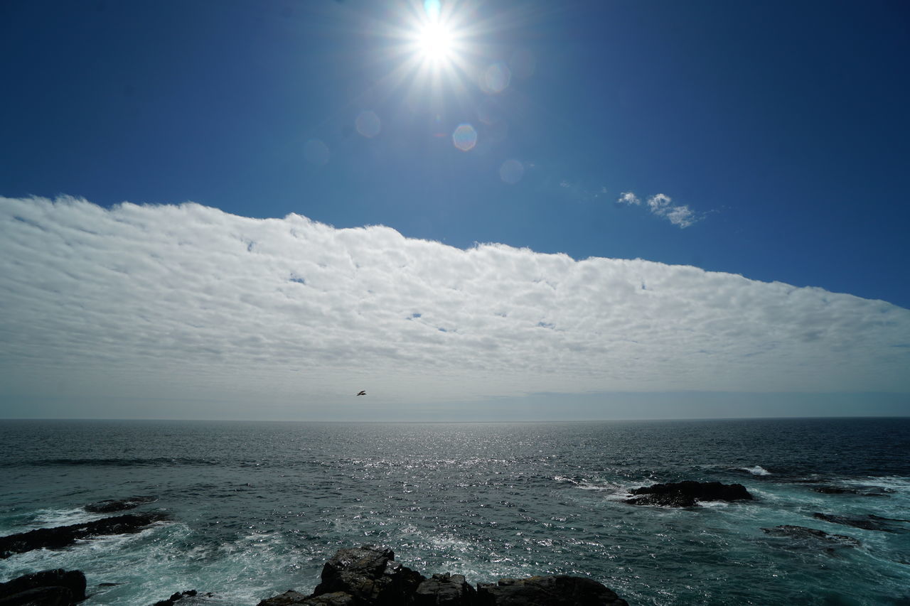 SEA AGAINST SKY ON SUNNY DAY