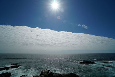 Scenic view of sea against sky on sunny day