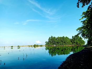 Scenic view of lake against blue sky