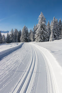 Cross-country ski trail in winter in chamrousse in the belledonne massif