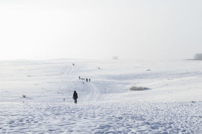 Man walking on snow covered landscape