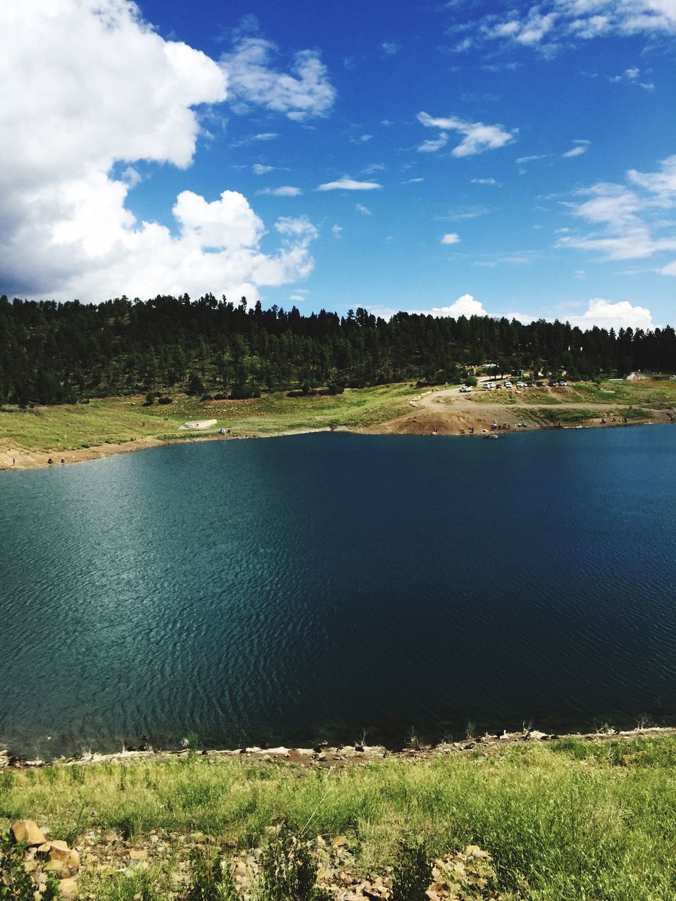 tranquil scene, water, tranquility, sky, scenics, lake, beauty in nature, nature, landscape, grass, tree, field, cloud - sky, growth, cloud, idyllic, plant, non-urban scene, blue, day, countryside, remote, horizon over land, outdoors, lakeshore, no people, calm, non urban scene, rural scene, rippled, grassy, green color