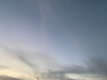 Low angle view of bird flying in sky