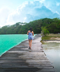 Rear view of woman standing on shore against sky