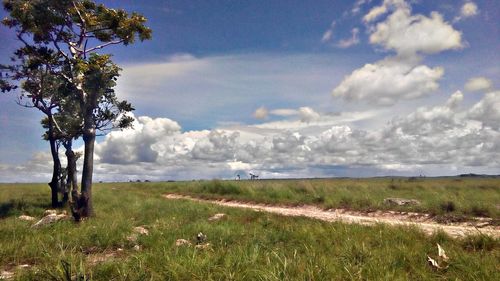 Scenic view of grassy field against cloudy sky