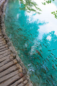 High angle view of sea