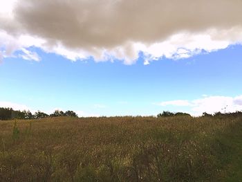 Scenic view of field against cloudy sky