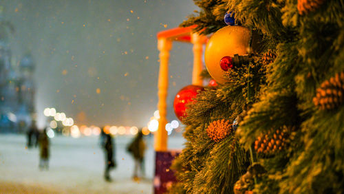 Close-up of illuminated christmas tree during winter