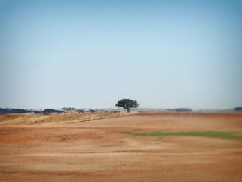 Scenic view of landscape against clear sky