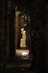 Statue of buddha against trees