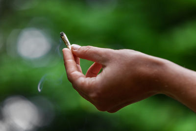 Close-up of human hand against blurred background