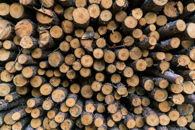 Full frame shot of logs