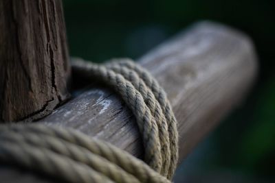 Close-up of rope