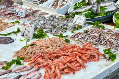 Fresh fish and seafood for sale at a market in naples, italy