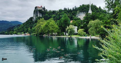 Scenic view of lake by trees against sky