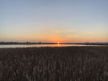 Scenic view of field against sky during sunset